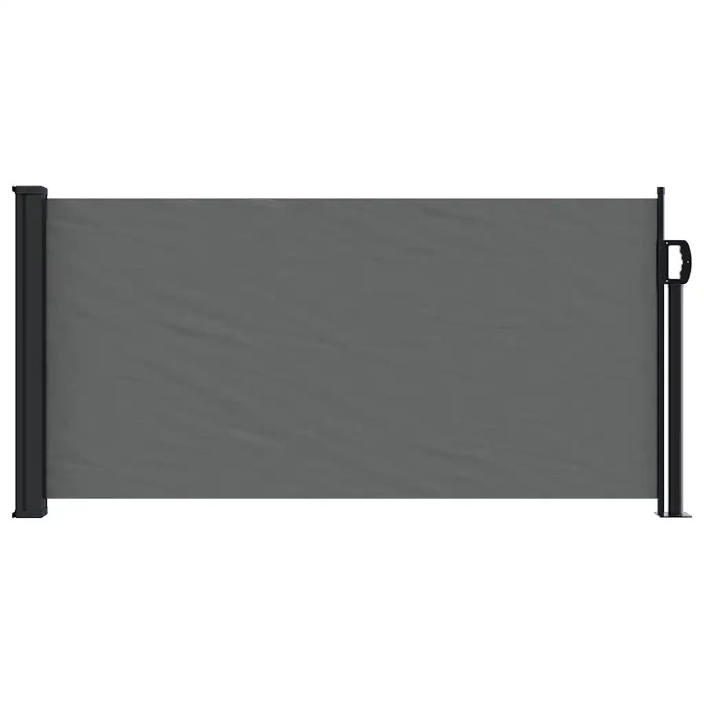 Tenda da sole laterale retrattile antracite 100x300 cm 4004278