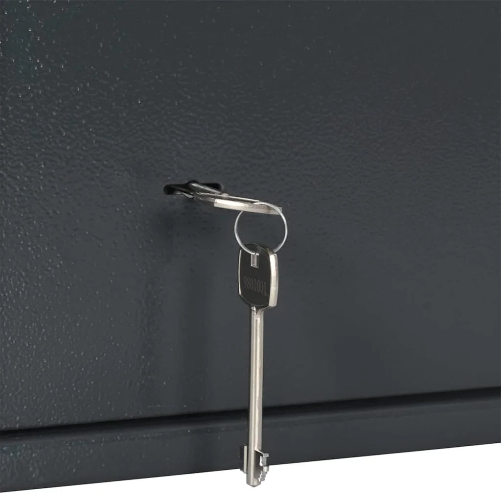 Cassaforte con blocco Grigio scuro 35 x 25 x 25 cm Acciaio CFW9714965