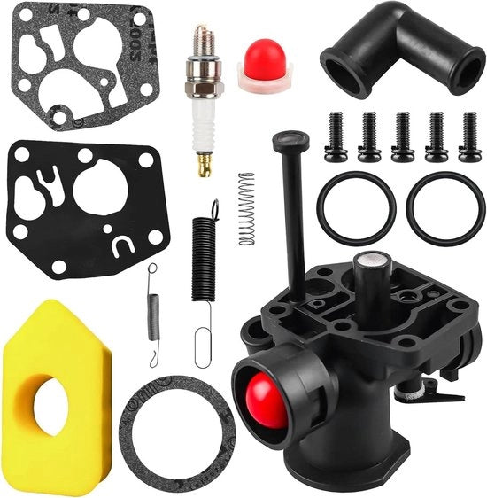 Set di carburatori per cesoie per bosco con carburatore Briggs & Stratton e filtro d'aria 

Modello: Allecto Plus