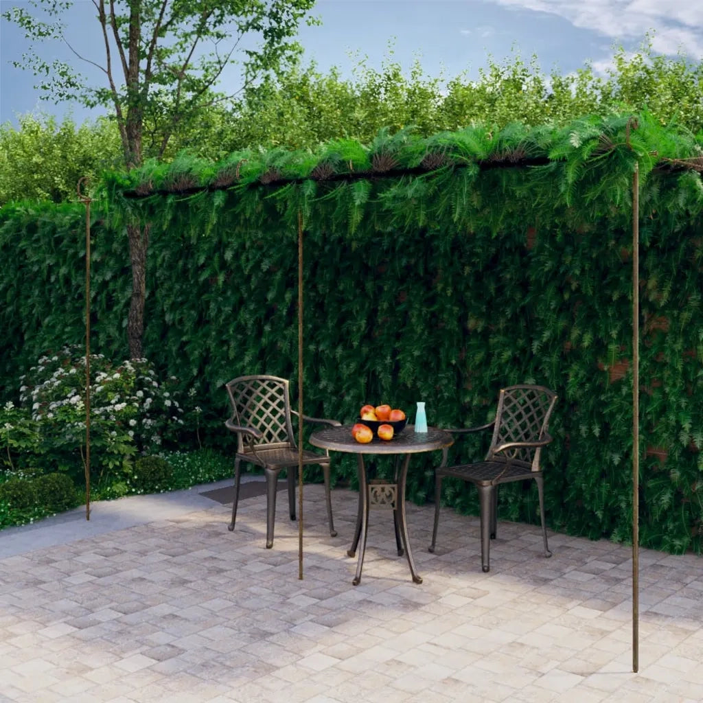 Pergolato da Giardino Marrone Anticato 6x3x2,5 m in Ferro CFW3241873