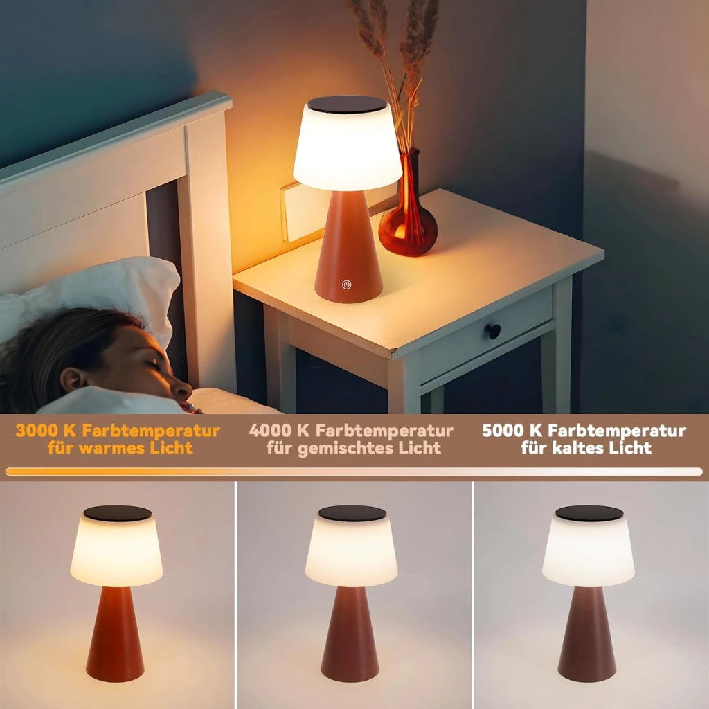 ZMH Lampada da tavolo LED wireless solare batteria moderna dimmerabile per giardino soggiorno comodino
