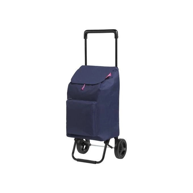 Gimi CARSPARGO-BL Argo Carrello Portaspesa Pieghevole 42 lt 30 Kg con Tasca Esterna e Ruote Gommate colore Blu