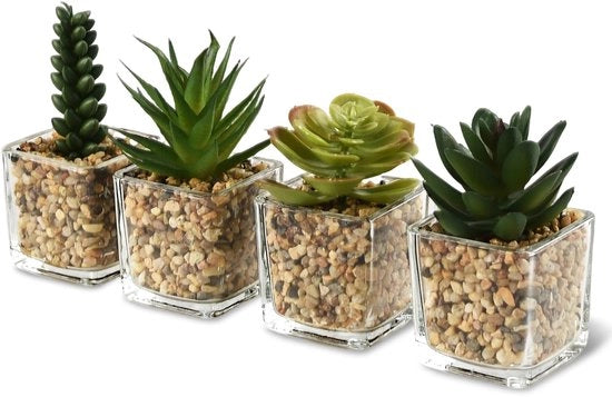 Piantine artificiali in vaso di vetro, pianta decorativa per camera, piccola pianta per matrimonio, ufficio, casa, camera, bagno, 4 pezzi