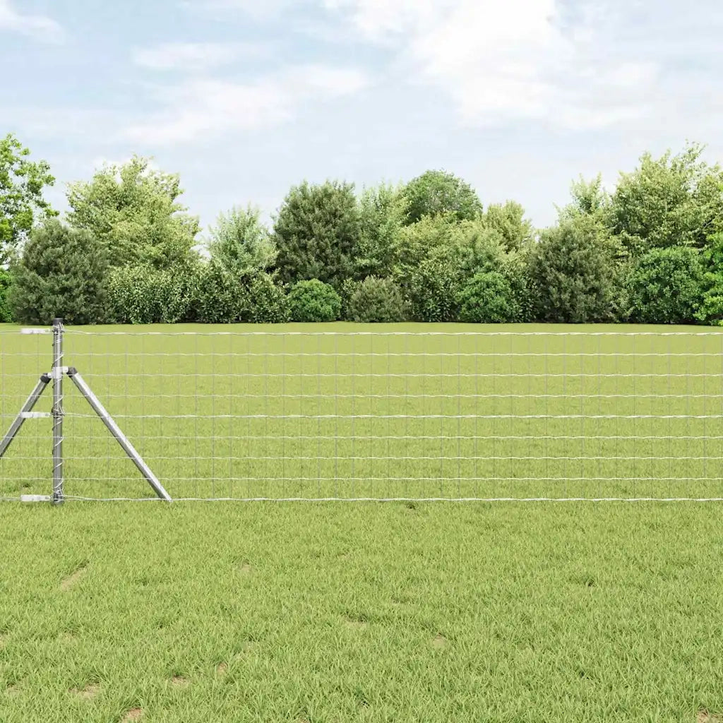 Recinzione con Posto Argento 0,8 x 25 m Acciaio e PVC