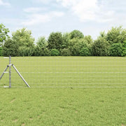 Recinzione con Posto Argento 0,8 x 25 m Acciaio e PVC