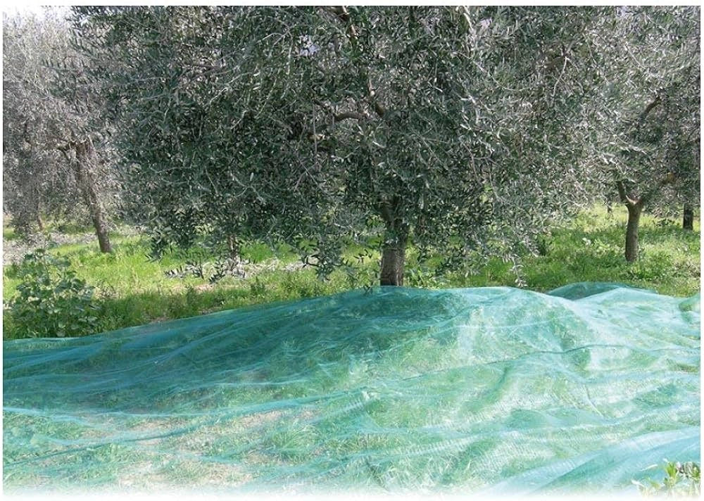 RETE PER RACCOLTA OLIVE 'ANTISPINE' IDEAL STAR telo 6x10 mt - IDEAL STAR