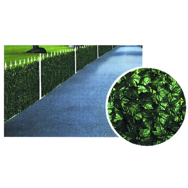 Il Campo 06232 Siepe Edera 150cmx20mt