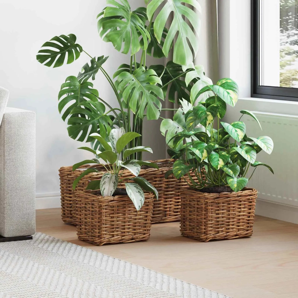 Cestino da Vaso con archiviazione 3 pcs Marrone Rattan Kubu