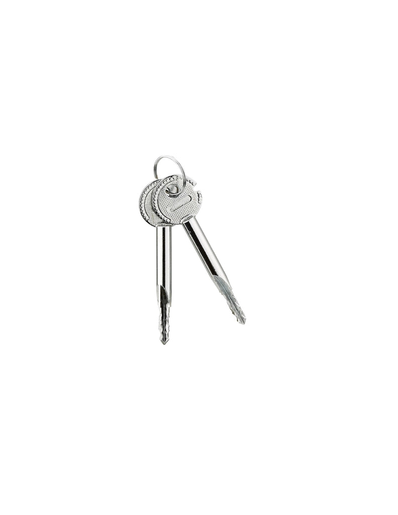 Cassaforte portavalori Edimburgo, 21x34x30cm, serratura a combinazione, 2 catenacci, 17L - THIRARD