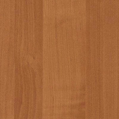 PLASTICA ADESIVA 2904 HOME DECO - ONTANO H.CM 45 L.MT 15- 1 pezzi