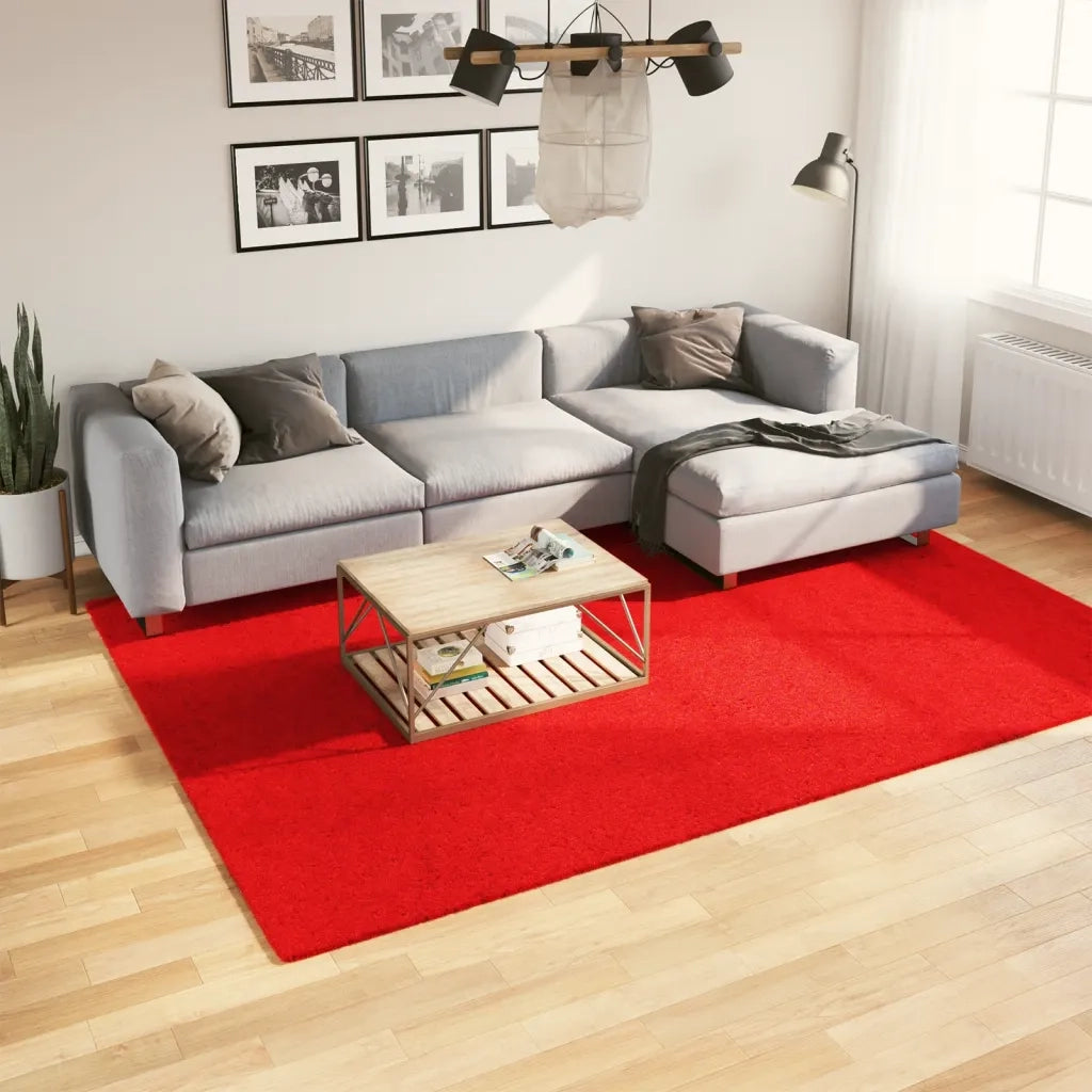Tappeto del soggiorno | Tappeto OVIEDO a Pelo Corto Rosso 200x280 cm