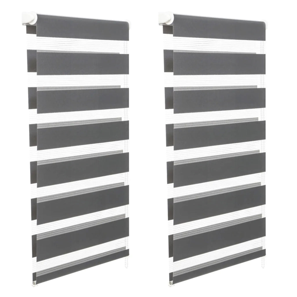 IDMarket - Set di 2 tende a rullo, giorno e notte, 55x170 cm, grigio