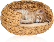 Gatto Sedentario Pietra Opale Acquamarina Ø 42cm – Comodo e Sostenibile