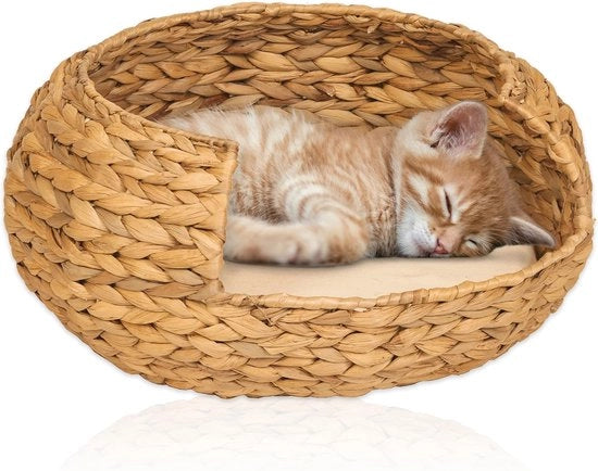 Gatto Sedentario Pietra Opale Acquamarina Ø 42cm – Comodo e Sostenibile