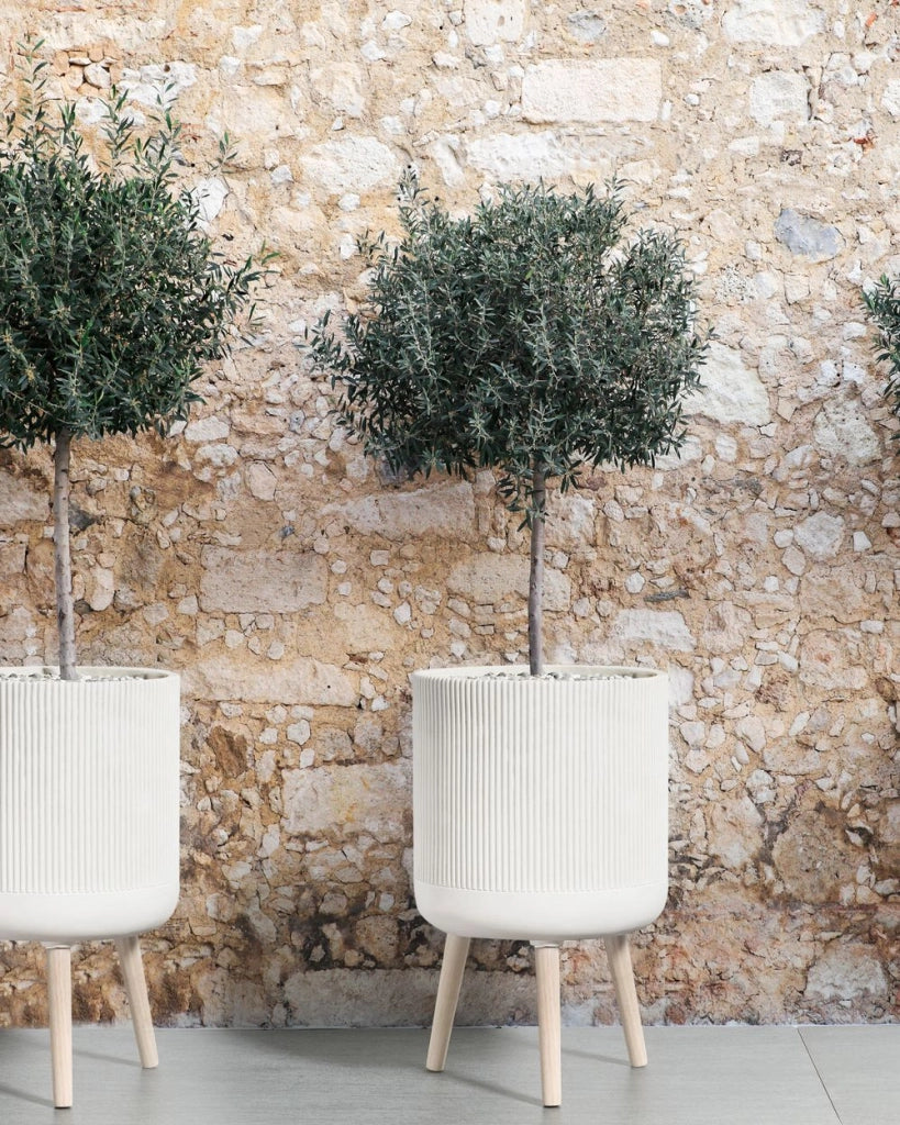 Vaso per piante rialzato Beige Chiaro 35x35x57 cm MgO Vaso alto rotondo gessato per interni esterni resistente alle intemperie