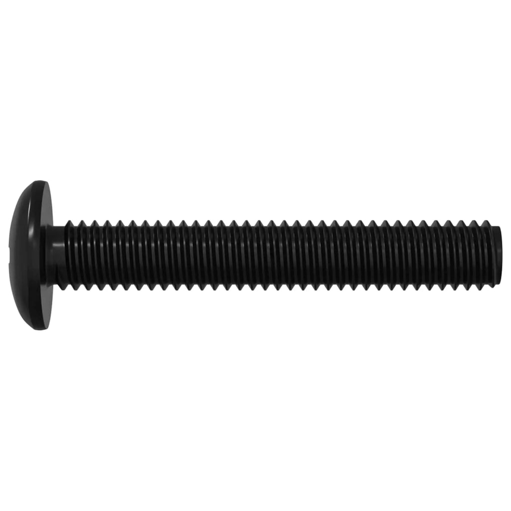 Vite 2647 pz Argento 5 x 30 mm Ferro CFW8644647