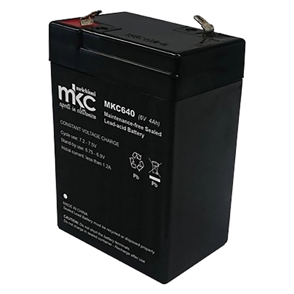 1pz batteria ricaricabile small mm.67 x 34 x h.99 - 3,2 ah cod:ferx.807302nlm