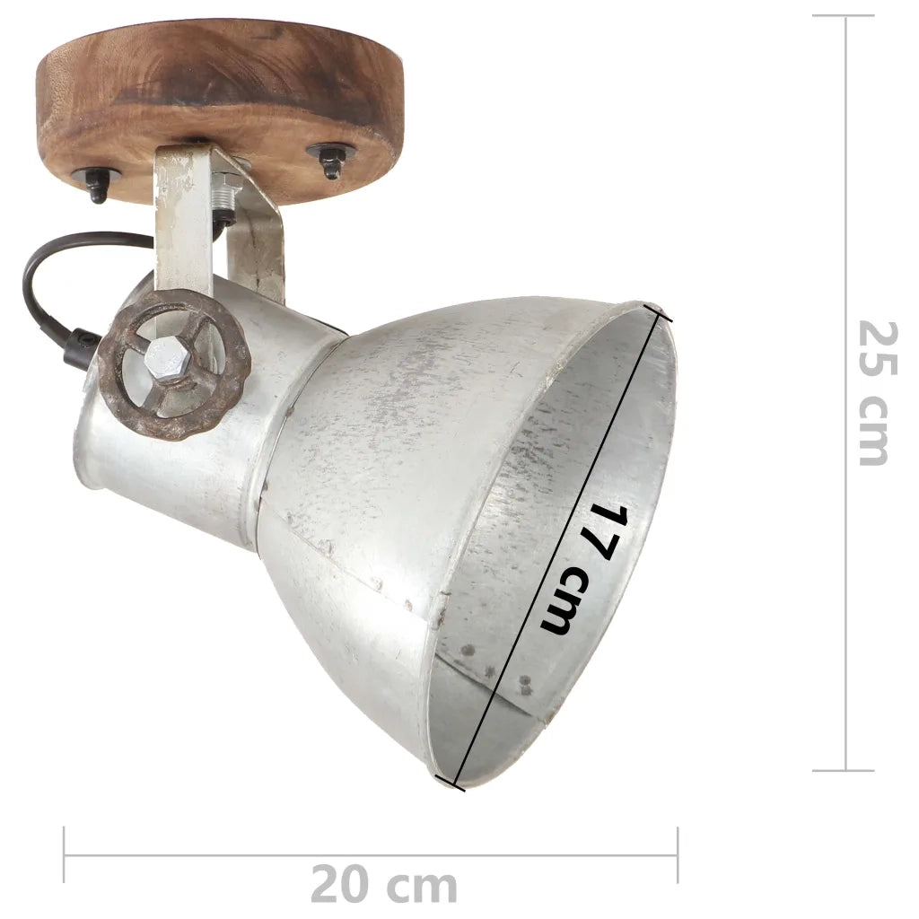 Lampade da Parete/Soffitto 2 pz Industriale Argento 20x25cm E27 CFW2699476