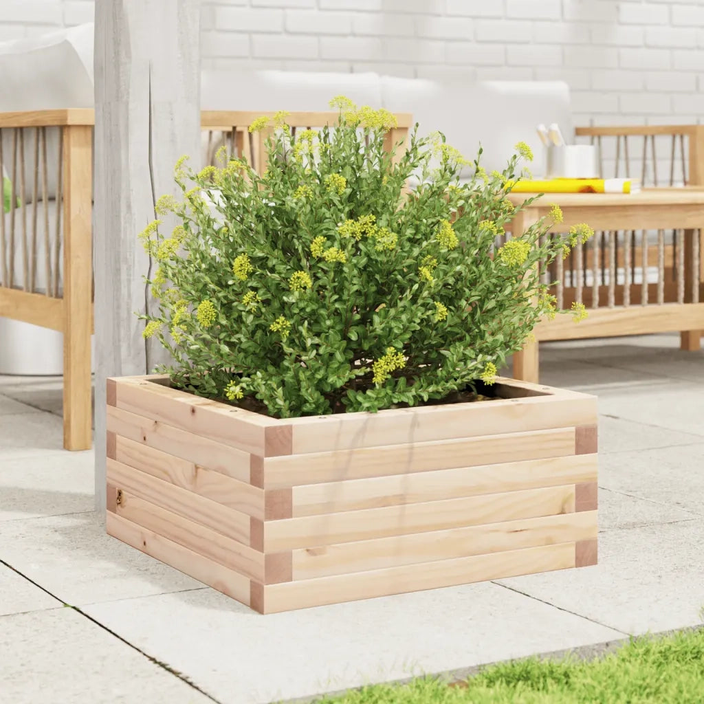 Fioriera da Giardino-Vaso da Esterno 50x50x23 cm in Legno Massello di Pino