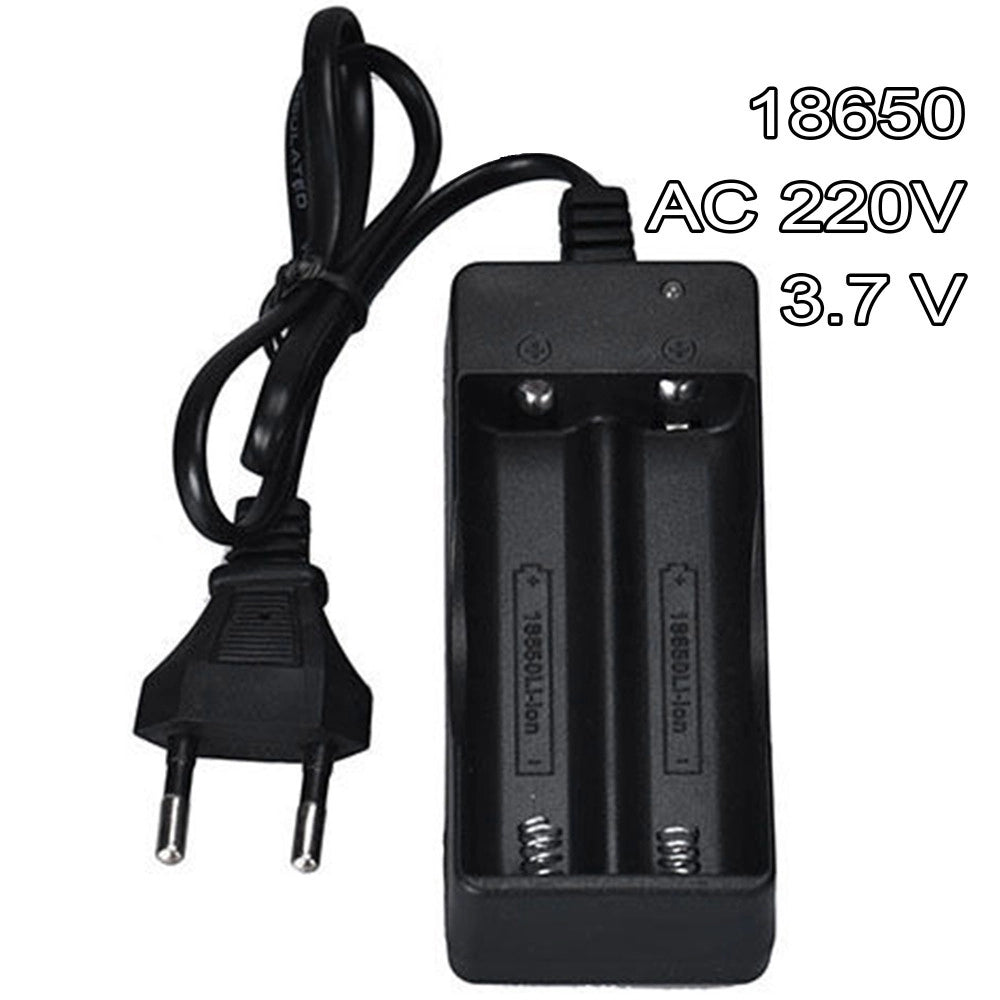 Trade Shop - Caricabatterie Doppio Pile Ricaricabili 18650 Ac 220v 3.7 V Li-ion Batteria -