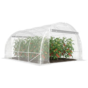 Serra da Giardino Tunnel ¨C zephmum ¨C Trasparente Acciaio PE Anti-UV 3x4x2 m