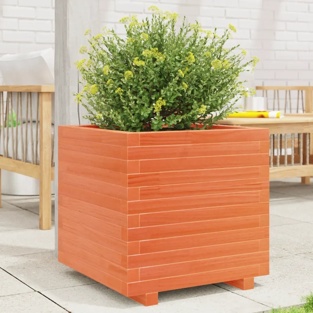 Fioriera | Cassetta per fiori | Vaso Giardino Marrone Cera 50x50x49,5cm Legno Massello Pino