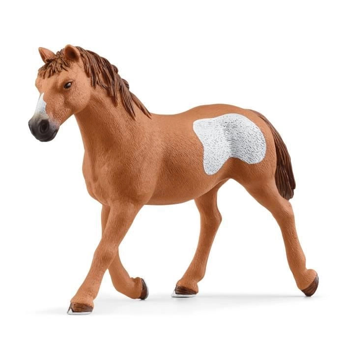 Schleich - Team Cowboy e il loro lassos - 42577 - Farm World Range