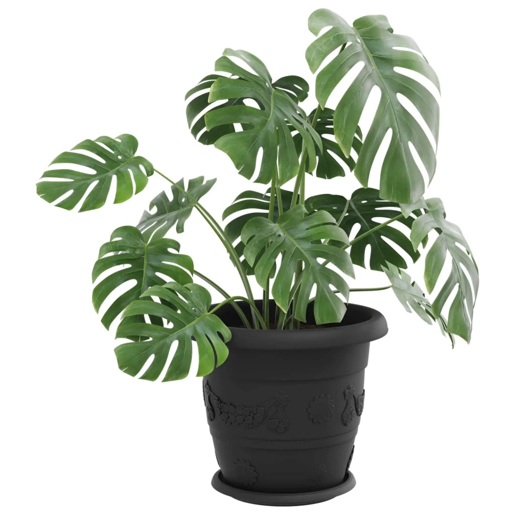 Fioriere | Cassetta per fiori | Vasi per Piante 6 pz Nero ? 34 x 28 cm Plastica