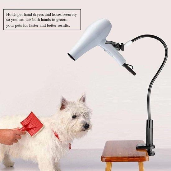 Ottimale Sostegno per il Passeggio per Animali da Compagnia - Ideale Regalo per Cani e Gatti.