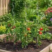 Tomato Spiral Stakes, 20 Pieces, 170 Cm, Galvanized Steel