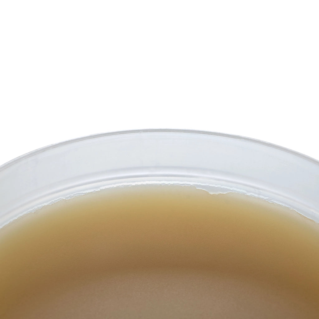 Flux Saldante Marrone ZJ-18 – Consistenza Gel Facile da Applicare | 115ml