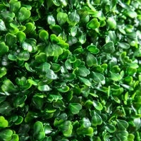 Set di 2 Piante Finte Sfera di Bosso Ø50cm, Decorazione per Interno ed Esterno, Verde