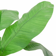 Albero di Banano Artificiale 9 Foglie 120 cm Verde CFW4193349