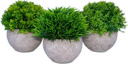 Piante artificiali per interni - Set da 3 pezzi - Piante finte in vaso - 15x12 cm - Decorazione