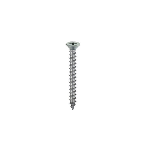Viti autofilettanti testa piana svasata Inox 4,8 x 32 - 10 pz.