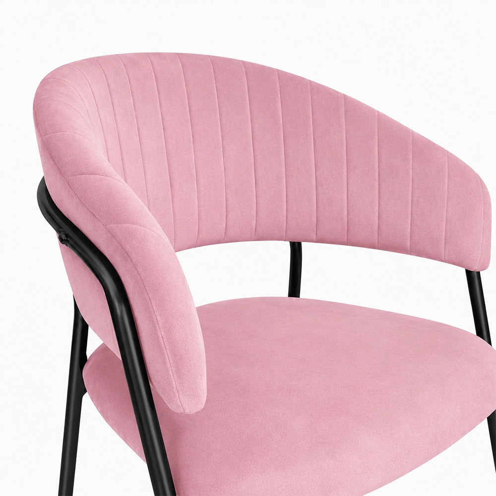 Sedie da sala da pranzo set da 2 Aurelia in velluto rosa con gambe nere