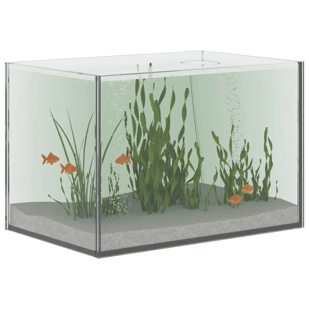 Acquario con archiviazione Trasparente 30 x 20 x 20 cm Vetro