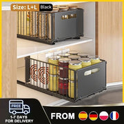 Organizzatore per cucina e bagno 2-cassa con cassetta estendibile sotto il lavandino per conservare spezie e erbe