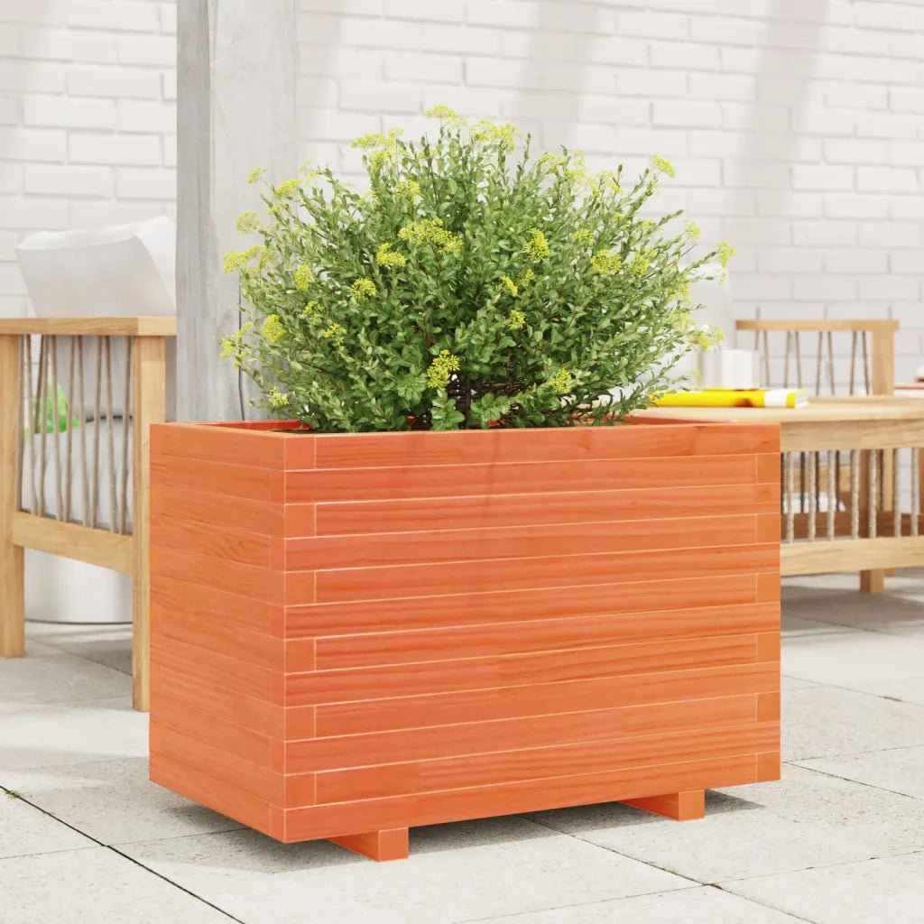 Fioriera | Cassetta per fiori | Vaso Giardino Marrone Cera 70x40x49,5cm Legno Massello Pino