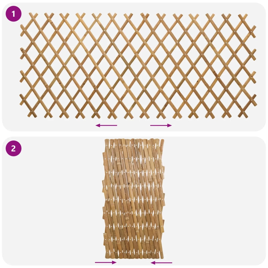 Recinto Trellis Espandibile 2 pz Marrone Chiaro 100 x 105 cm CFW9078196