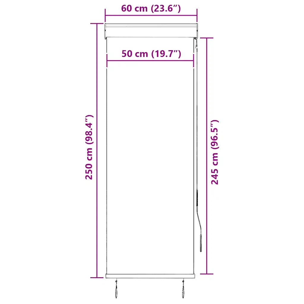 Tenda a Rullo per Esterni 60x250 cm Arancione e Marrone 145948