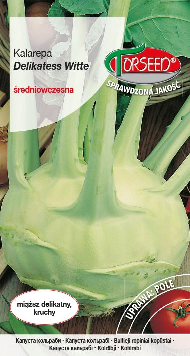 Cavolo rapa Delikatess Witte 2g