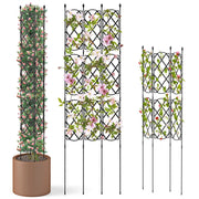 Trellis da giardino in metallo per piante rampicanti-Set da 3 supporti per piante Nero