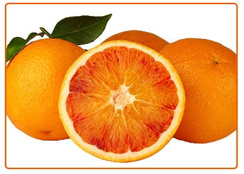 Pianta di Arancio Tarocco Scirè vaso 24cm foto reali