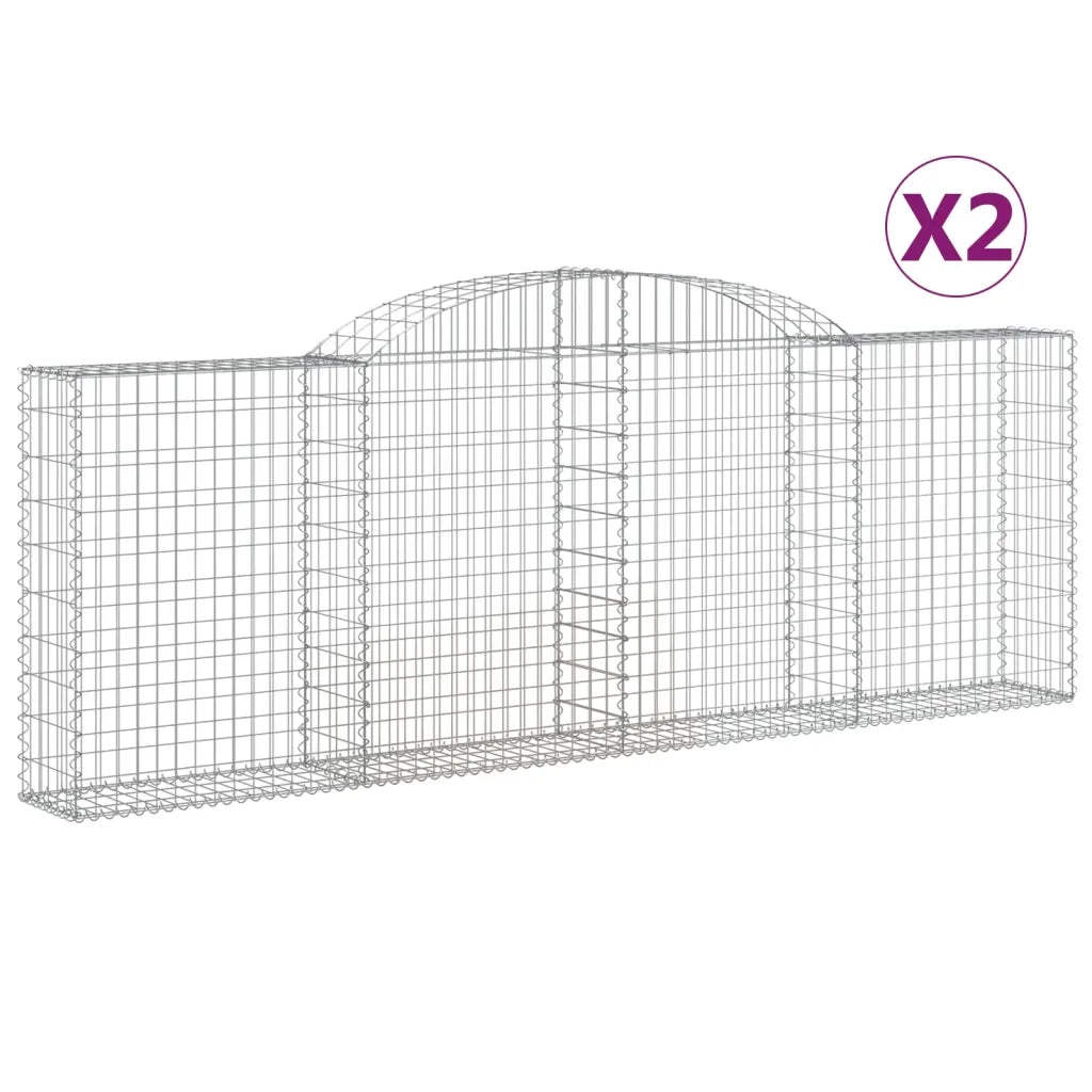 Cesti Gabbioni ad Arco 2 pz 300x30x100/120 cm Ferro Zincato 3146521