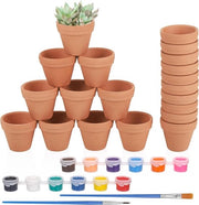 24 vasi di terracotta per piante 3 × 35 cm - inclusi 2 spazzole e 12 colori - per dipingere - vasi di terracotta piccoli per interni DIY