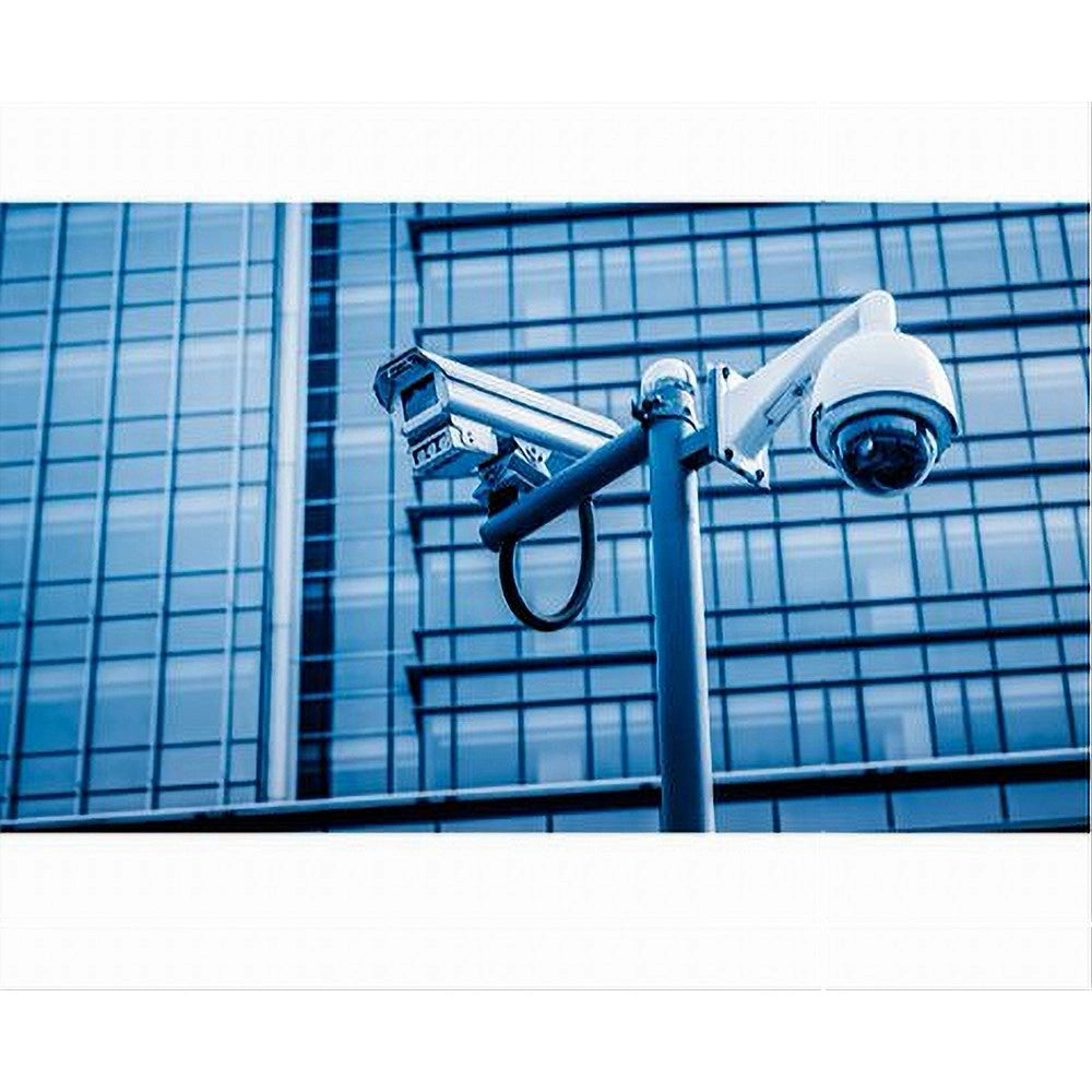 Trade Shop - Connettore Bnc Maschio Connettori Adattatore Per Videosorveglianza Maxtech C-021 -