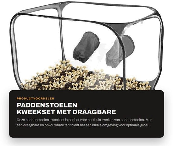 Kit di coltivazione funghi portatile con tenda ripiegabile