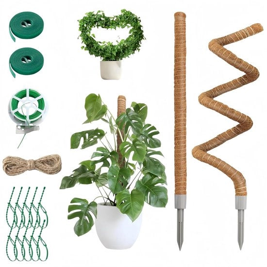 Supporto per piante rampicanti - Set da 2