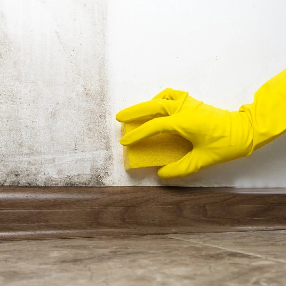 Detergente sbiancante macchie intonaci mattoni rinnova pareti flaconi 5 litri